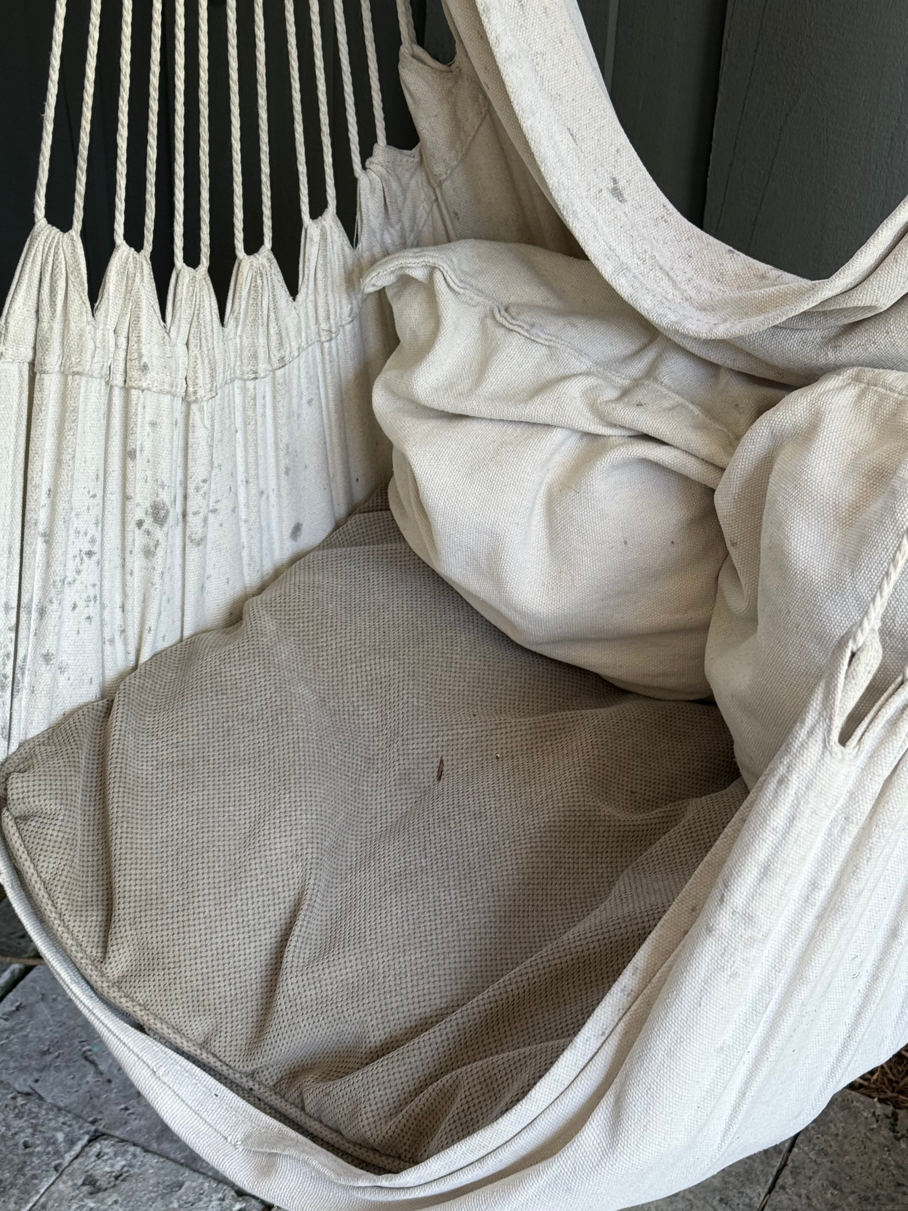 Reality photo IMG_3281