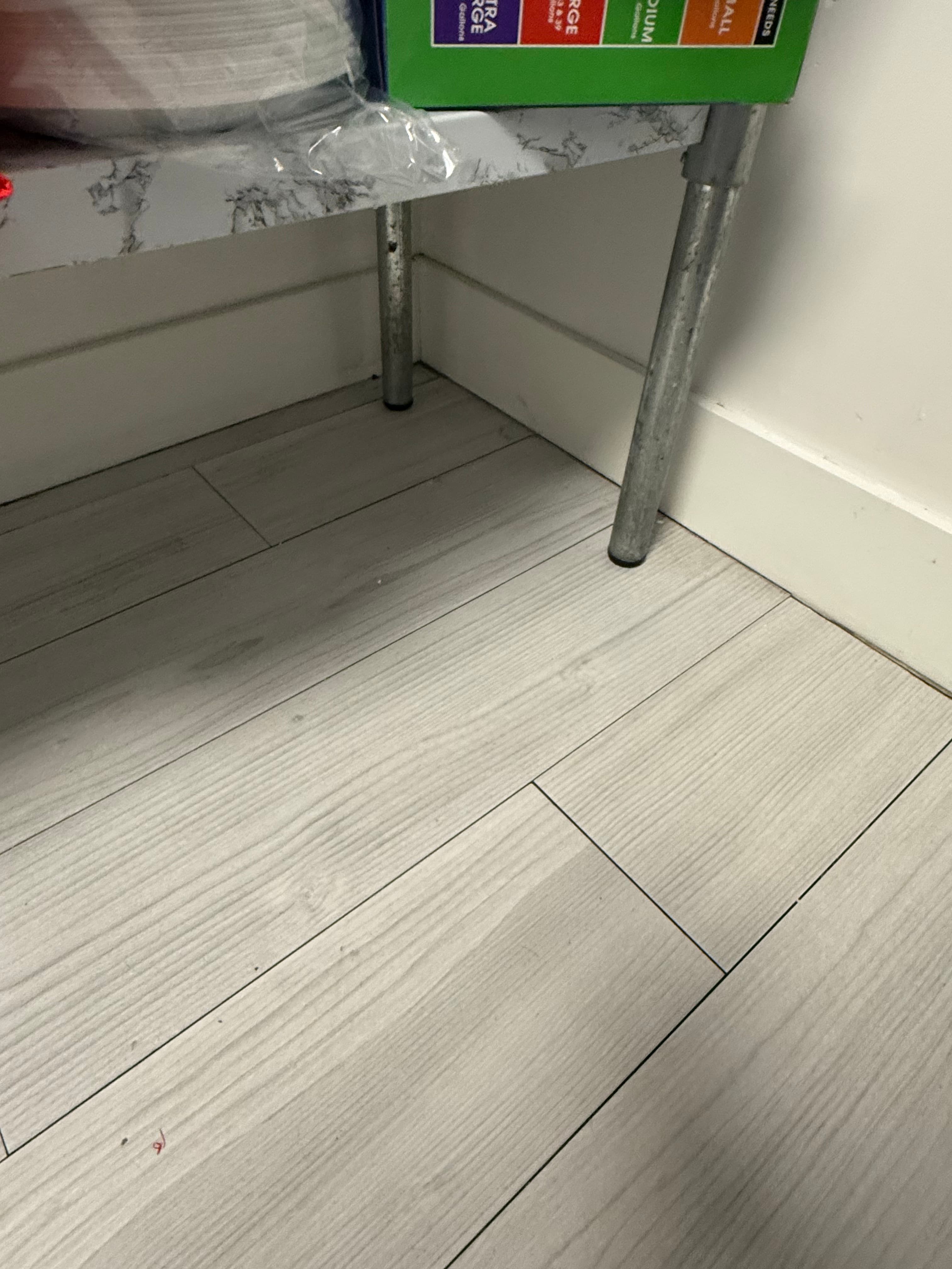 Reality photo IMG_3294