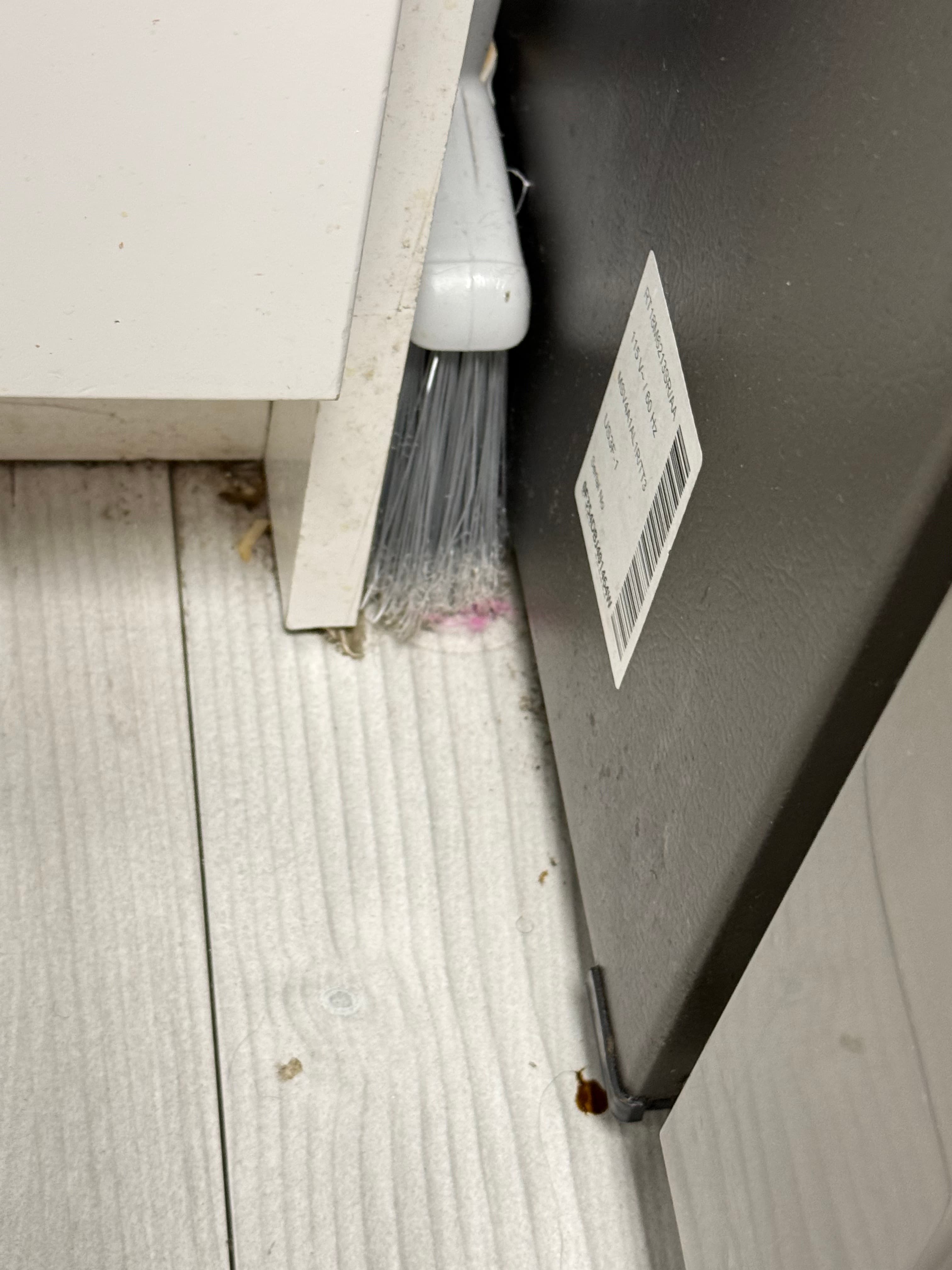 Reality photo IMG_3295