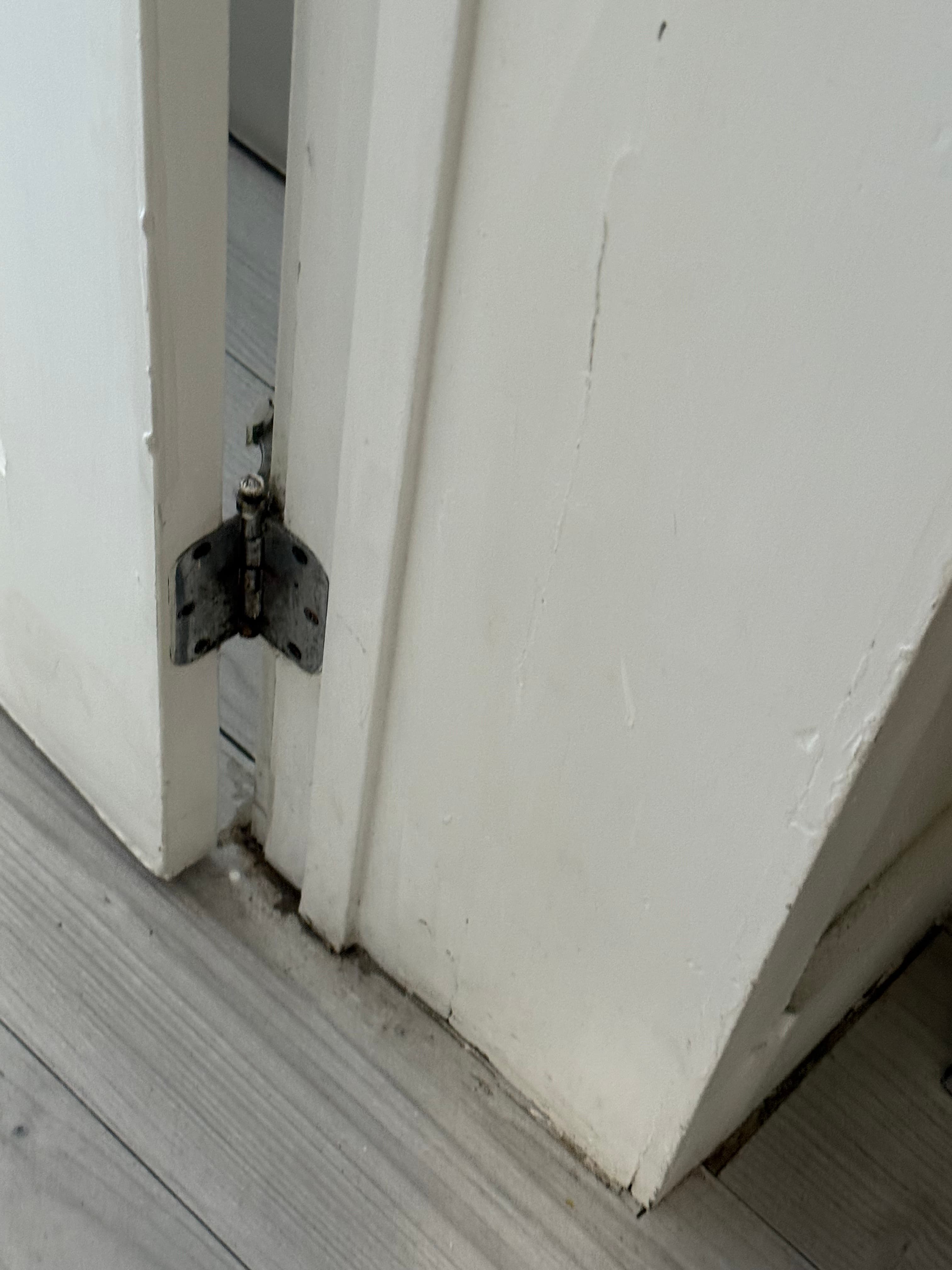 Reality photo IMG_3296