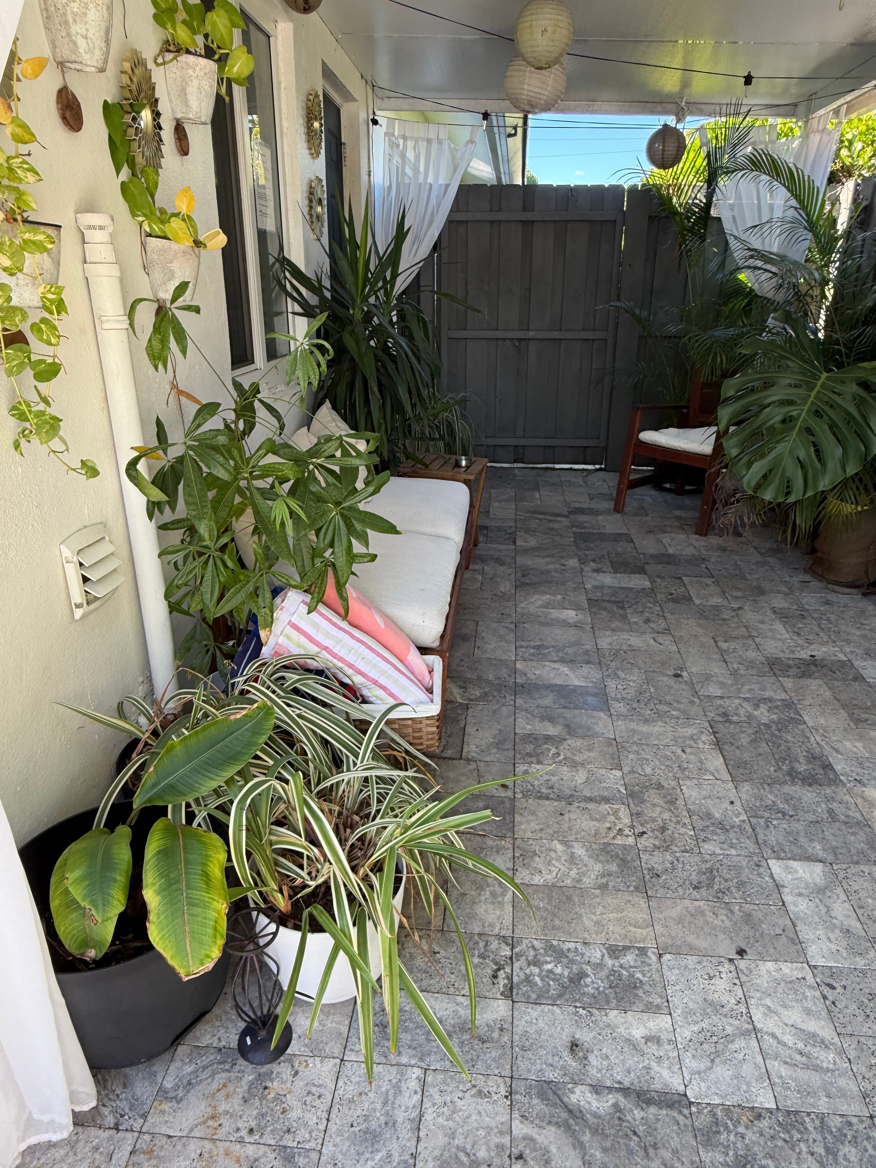 Reality photo IMG_3302