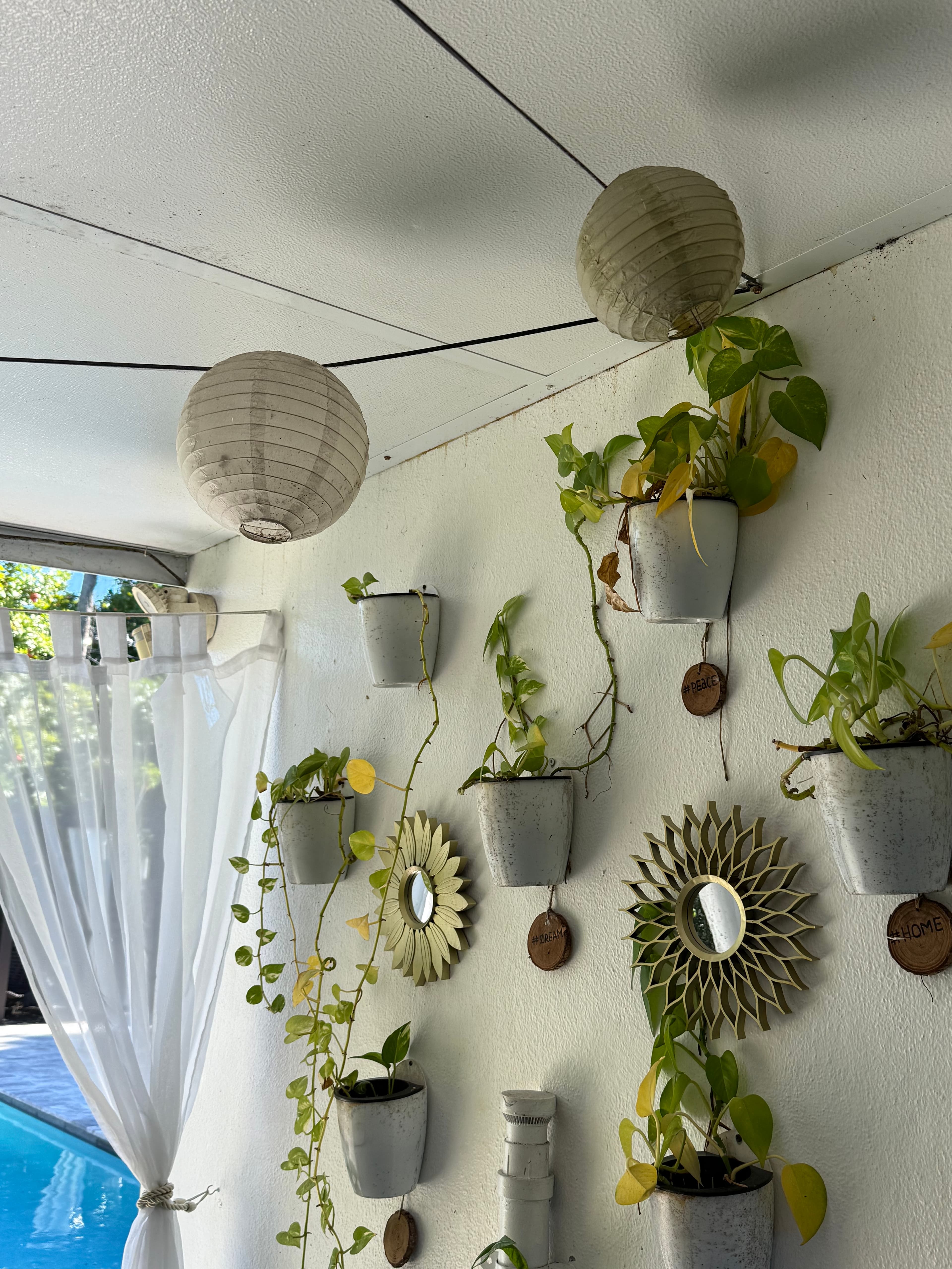 Reality photo IMG_3304