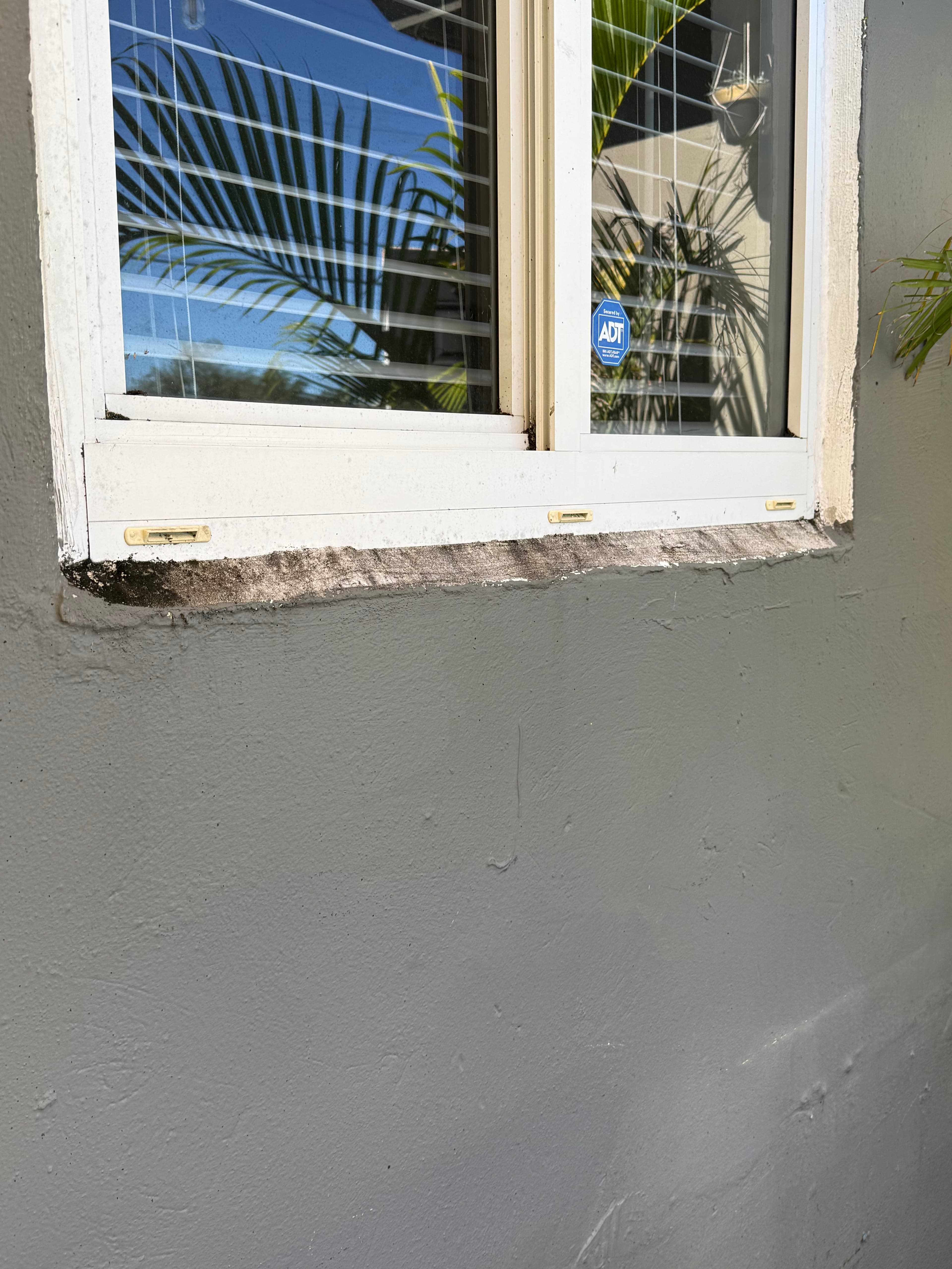 Reality photo IMG_3306