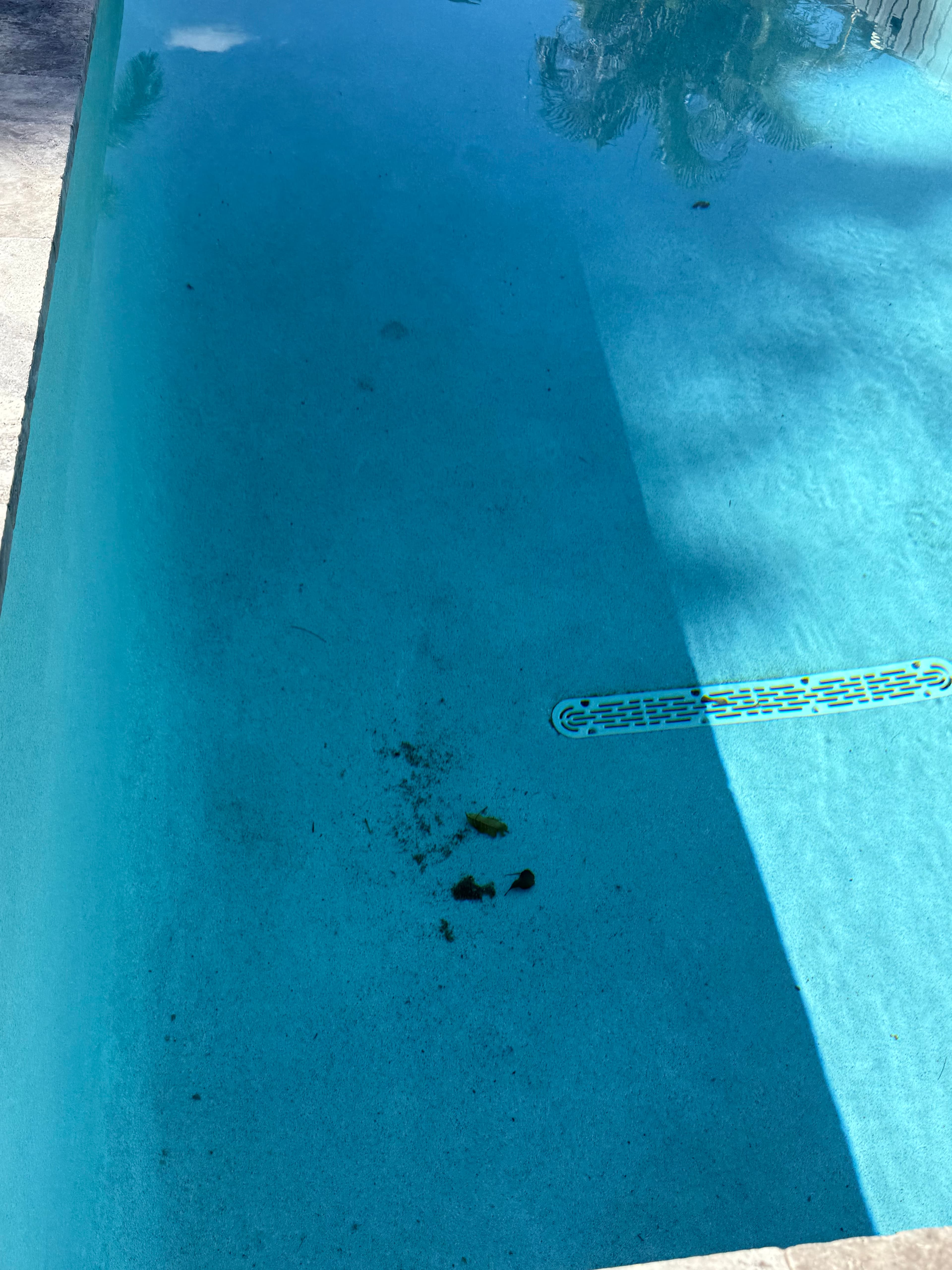 Reality photo IMG_3307