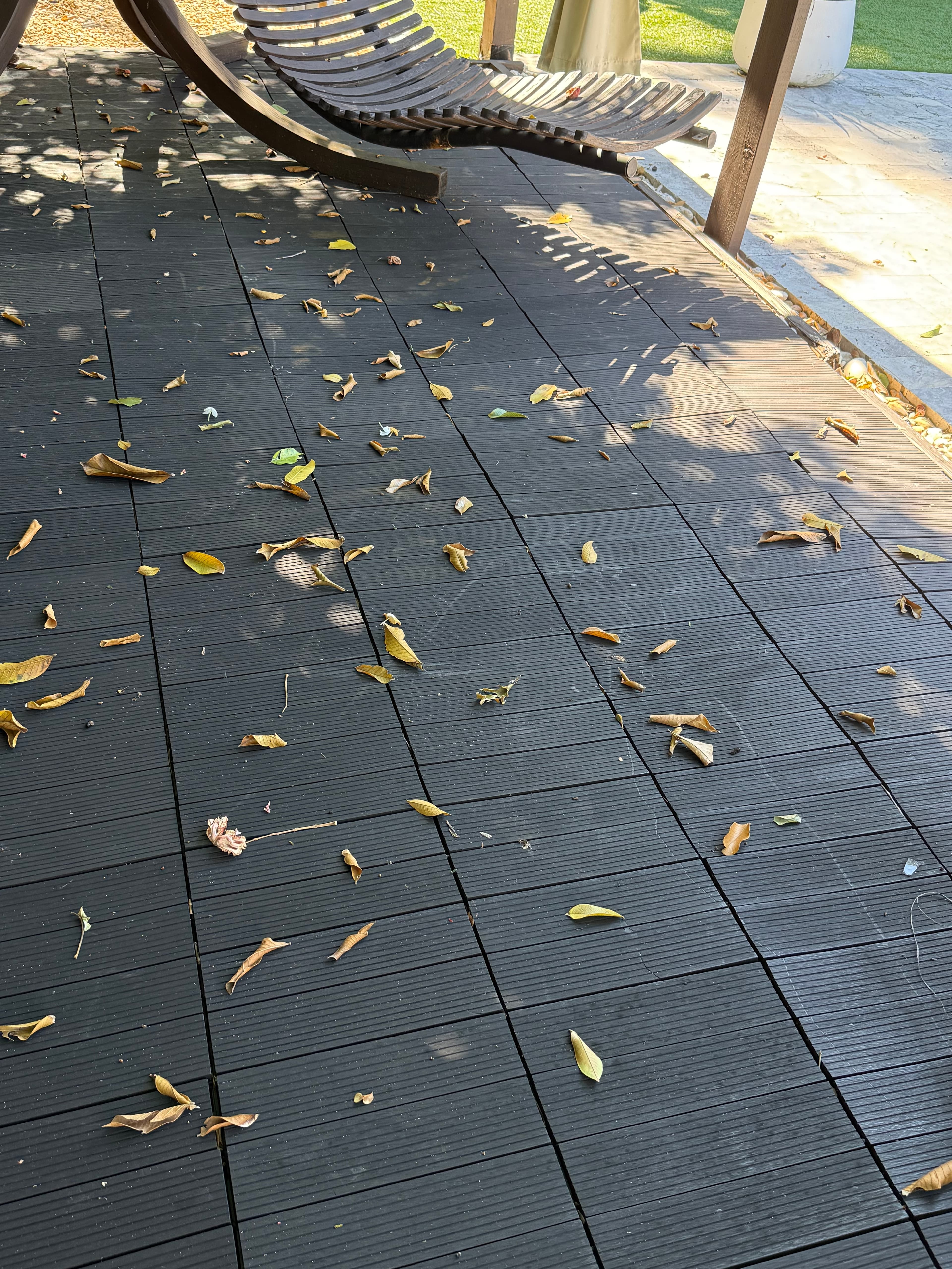 Reality photo IMG_3309