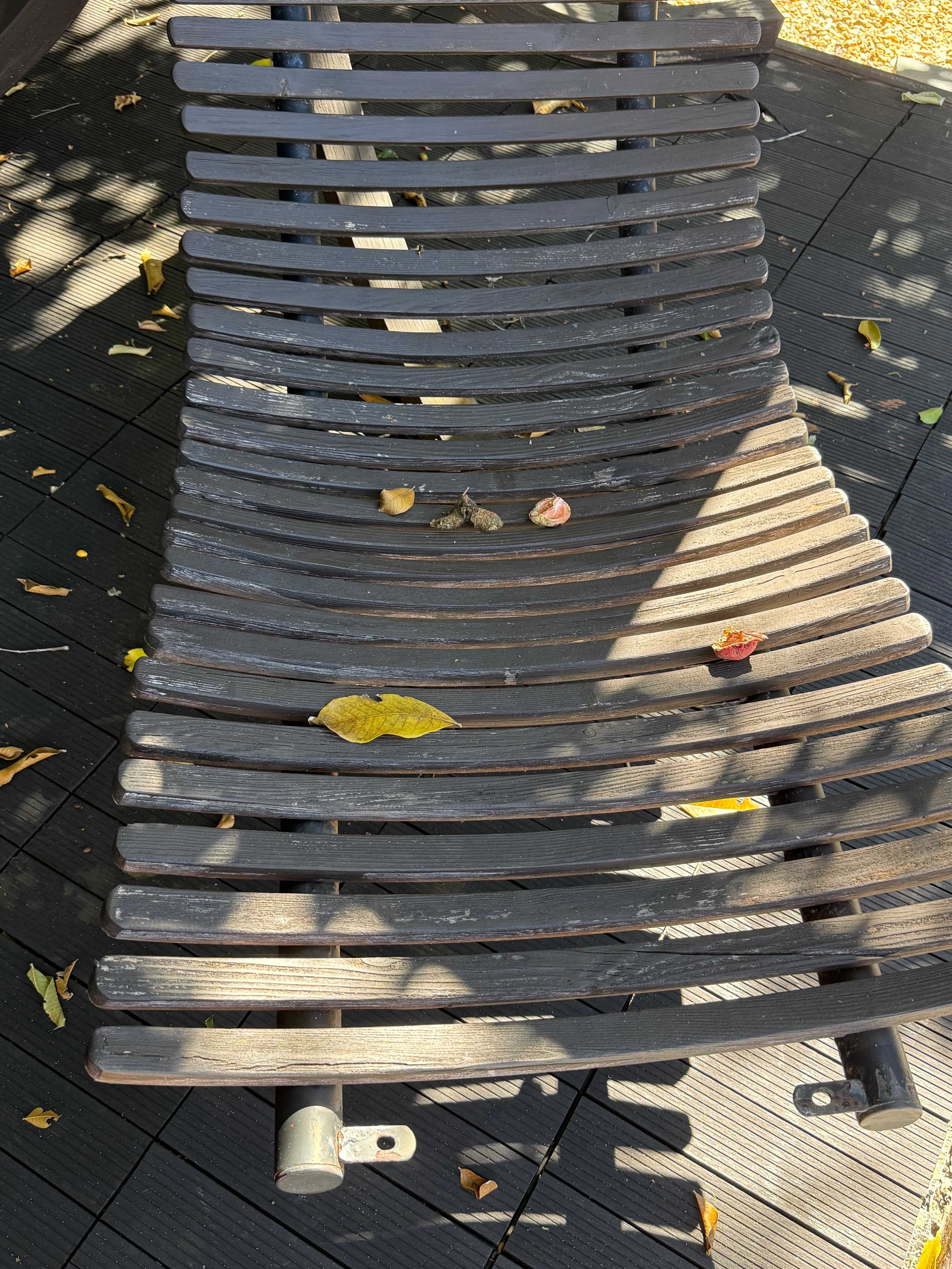 Reality photo IMG_3311