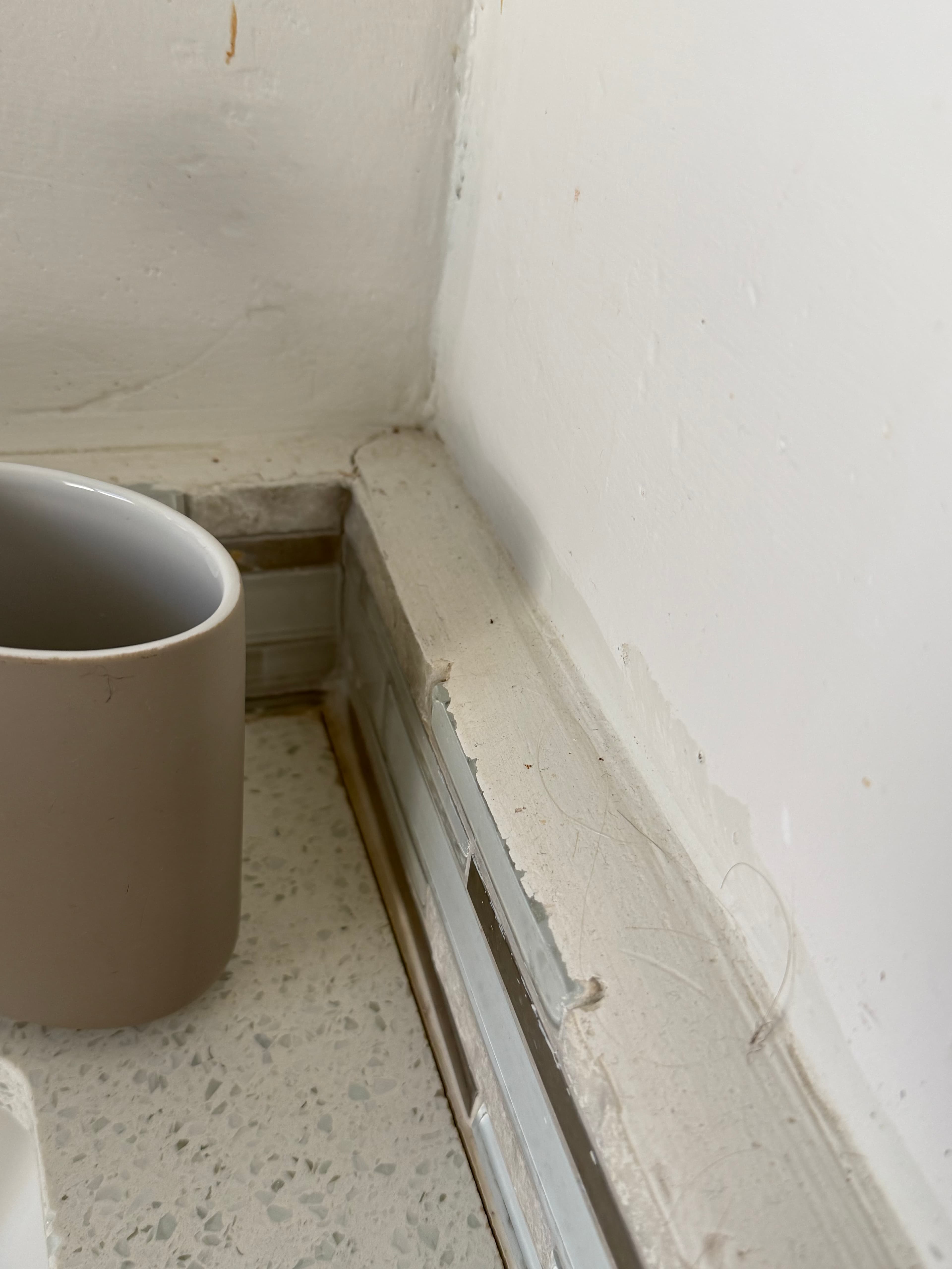 Reality photo IMG_3319